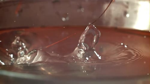 Shrimp Splashes Fall Into the Water Filmed on a Highspeed Camera at 1000 Fps