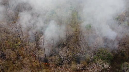 Aerial drone view of a wildfire burning through a forest area, fills the sky with dark smoke
