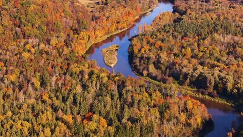 Golden Autumn Aerial of Sigulda, Latvia, Red Foliage and Winding River Paths