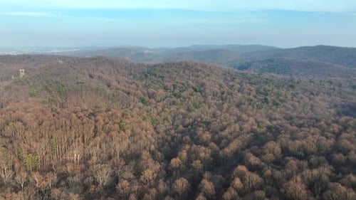 Scenic Aerial View of Rolling Forest Hills Under Clear Sky