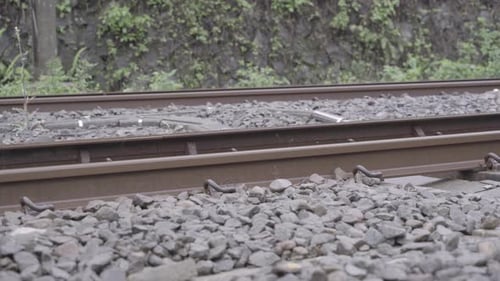 Flachwinkelaufnahme von Bahngleisen bei vorbeifahrendem Schnellzug - statische Aufnahme