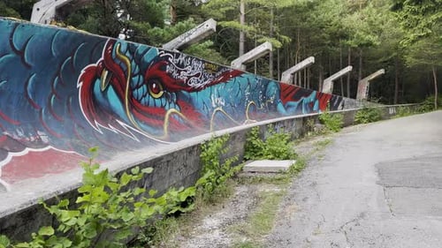 Beautiful dragon graffiti artwork on abandoned bobsleigh track on Mount Trebevic - Sarajevo, Bosnia
