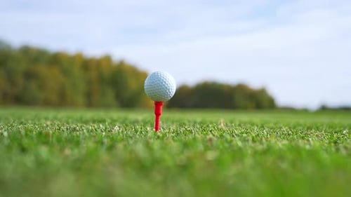 Golf Ball Positioned on a Tee All Set for a Shot in a Beautiful Lush Green Field