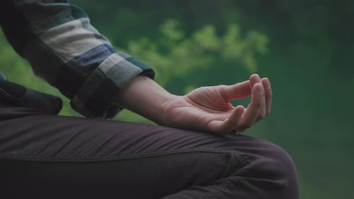 Close-up of a Woman's hands in a Lotus Position doing Yoga surrounded by a beautiful lush green Fore