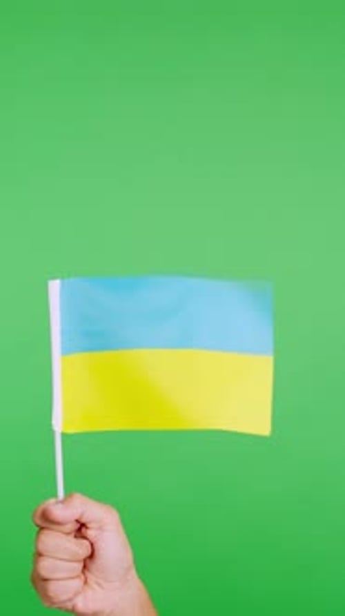 Hand Holding and Waving Flag on Green Background