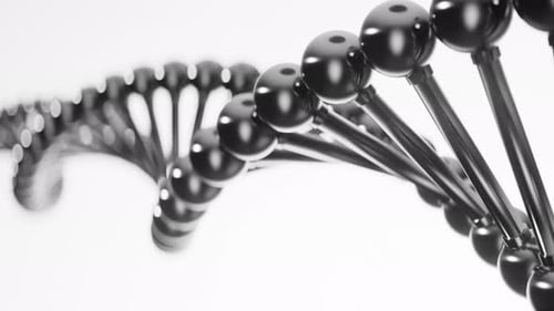 Black And White Dna Chain