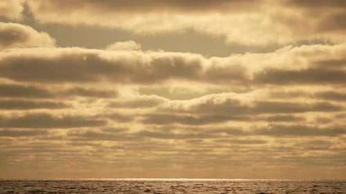 Fishing Boat Trawler Catches Fish While Sailing on Sea A Commercial Fishing Boat on the Horizon in a