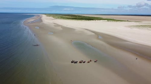 Drone shot people horse riding on sand beach in beautiful summer sun