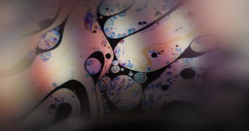 Macro Abstract Footage of Multi-Colored Shapes and Forms