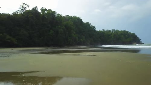 Tropical Paradise in a Costa Rica Beach. Blue Sky with a forest and trees behind in a beatiful sea.
