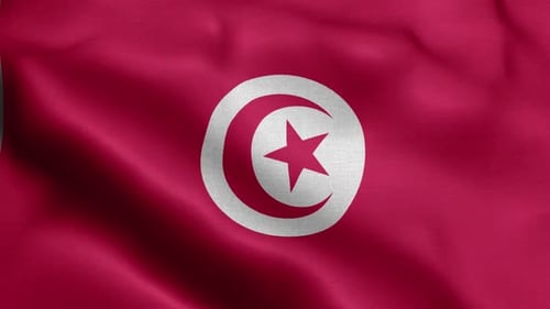 Animated Tunisia Flag Waving in Realistic Fabric Style