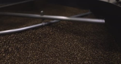 Close Up Coffee Beans Drying in Coffee Roaster in Food Production Plant 10 Seconds or Greater