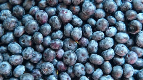 Fresh Blueberries Background Piled Blueberry Spinning Backdrop Sweetest Delight Vibrant Closeup of