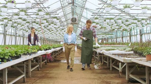 Botanists Inspecting Plants in Greenhouse Filled with Flowers