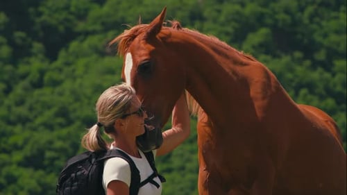 Peaceful Encounter with Wild Horse in Devdoraki Valley Scenic Beauty