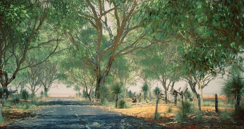 Calm Road Surrounded By Lush Trees in a Rural Landscape During Daytime