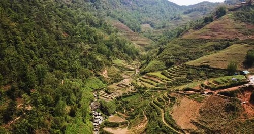 Aerial shot of flying through a valley of rice fields that line the hills in Southeast Asia.