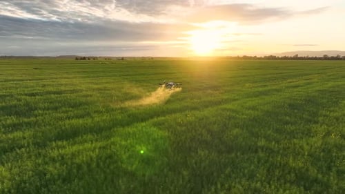 Drone Spraying Field at Sunset