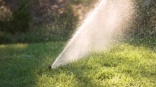 Rasengrasbewässerung mit automatischem Sprinkler-Bewässerungssystem