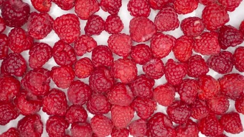 Close Up Rotation Raspberry Macro Red Fresh Raspberries Fruit Rotation