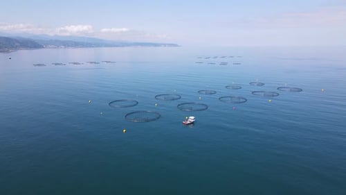 Salmon, Sea Bass And Trout Ponds