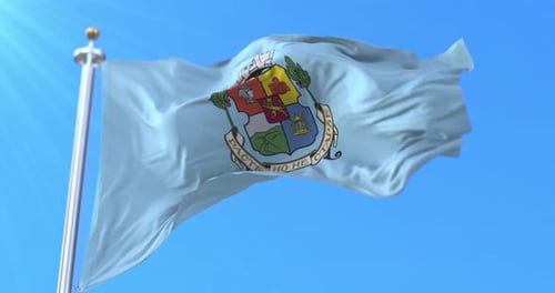 Waving Light Blue Flag with Detailed Coat of Arms