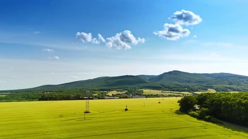 Green fields, blue sky. Bright green fields stretch out towards distant mountains