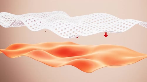 3D Absorption Process with Permeable Layer and Arrows