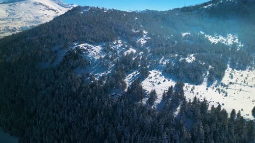Snowy mountains roads pine forests and magnificent scenery