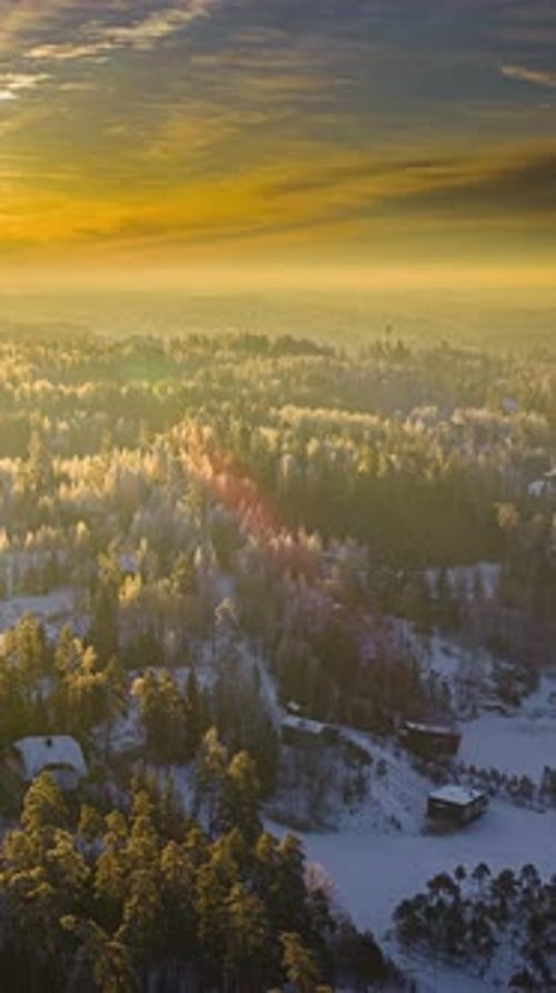 Lumière dorée du lever du soleil illuminant le paysage de forêt enneigée