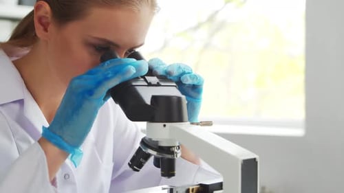 Female Doctor Works in a Modern Scientific Laboratory Using Equipment and Technologies The Scientist