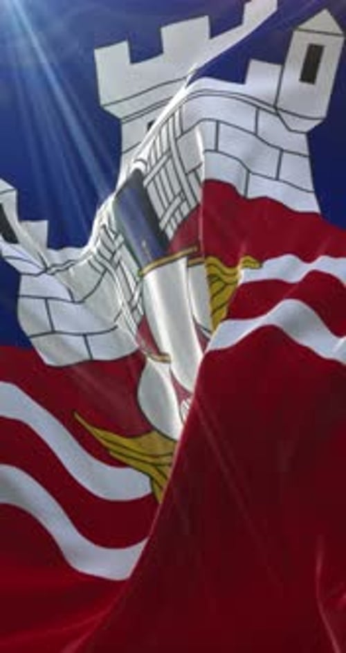 Realistic Animated Flag with Castle and Ship Waving