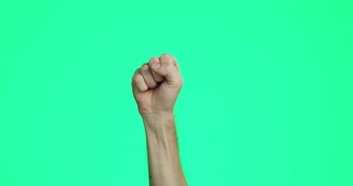 Green screen, protest and hand in fist in studio for empowerment, freedom