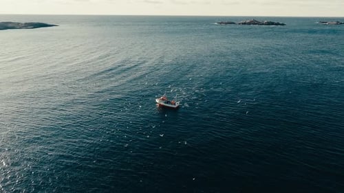 Seabirds Flying Over The Fishing Boat Heading To The Sea To Catch Fish. - aerial shot