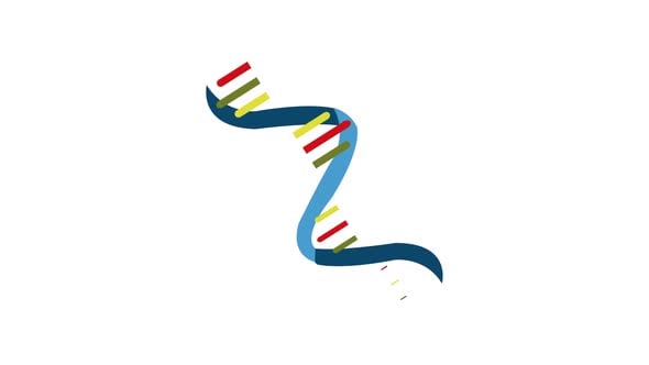 Rna Element Alpha Animation, Elements Motion Graphics ft. RNA & acid ...