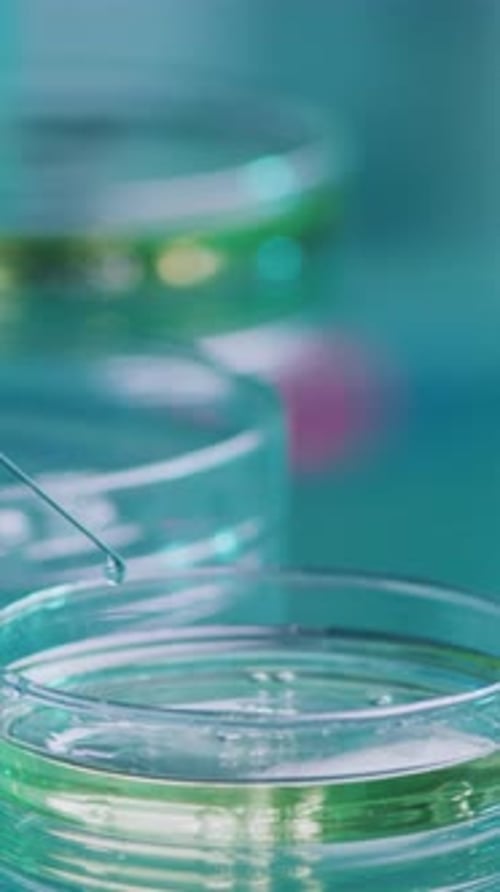 Syringe Dripping Liquid into Petri Dish in Lab