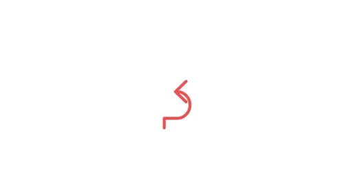 Minimalist Line Animation Revealing an Up Arrow