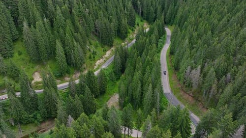Driving on the mountain road. Aerial view of car driving through the forest and the lake on the side