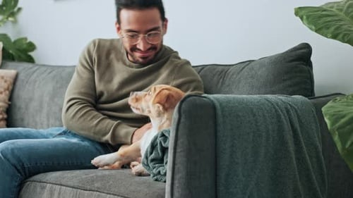 Man Relaxing on Sofa Petting His Dog