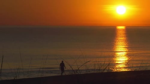 Silhouette of man walking alone on beach at sunrise, slow motion