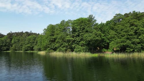 Low drone flight over lake water, view of wooded shoreline