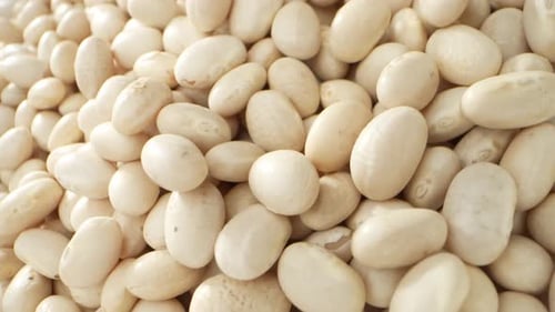 Pile of Clean White Beans in Close Up