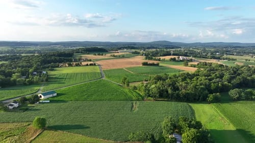 Rolling hills of rural USA. Aerial truck shot of American farmland in summer. Beautiful golden hour