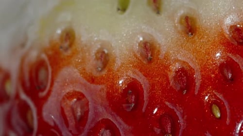 Makrotextur einer echten roten, reifen Erdbeere, die rotiert