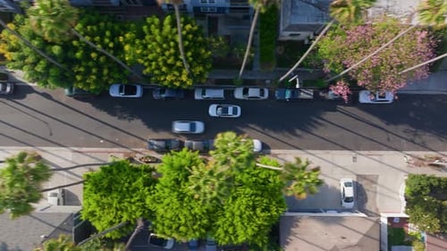 Eine wunderschöne Luftaufnahme einer malerischen Straße, umgeben von üppigen Bäumen