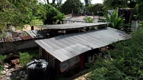 View over the barracks of a small coconut plantation in Kenya.