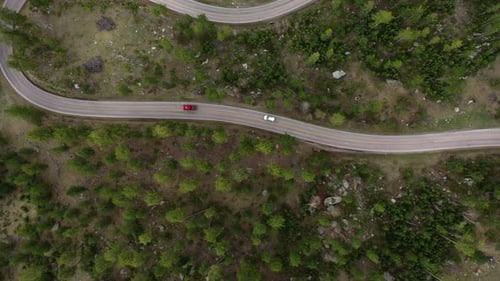 Vista de arriba hacia abajo de los coches que viajan por Black Hills en Dakota del Sur