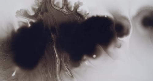 Ink Drop Watercolor Spread Monochrome Blur Paint