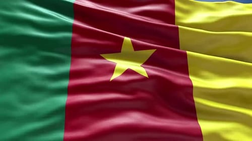 Cameroon National Flag Waving Animation