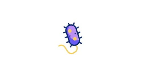 Bacteria Animated Icon